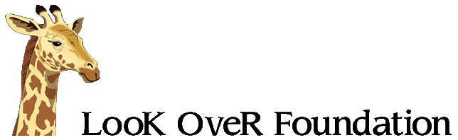 Fondazione privata senza fini di lucro